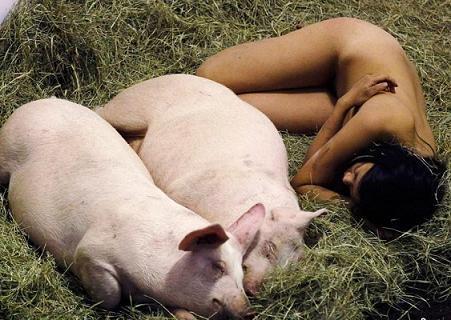 171头猪遭雷击 网友:谁叫二师兄与美女裸睡?_新浪新闻