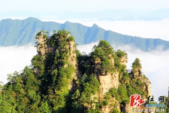 张家界天子山秋日云海美景醉游人(组图)