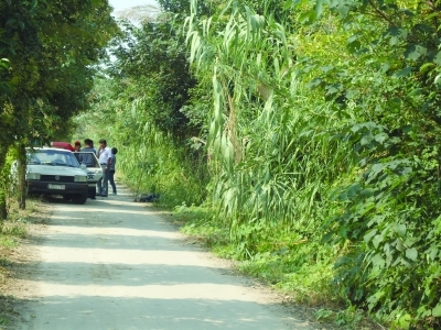 扬州 8岁女童遭 诱拐 杀害  警方悬赏5万缉凶_新浪