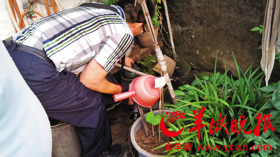 中山神湾镇登革热零发病:关键在全民防控