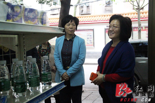 湖南省红十字会调研组长沙望城调研