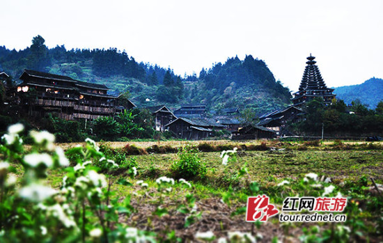 湖南靖州举行独特飞山祭 民俗特色成旅游"招牌菜"