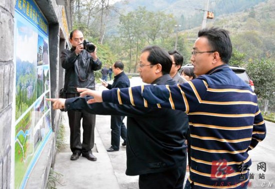 市委书记刘珍瑜率发改等相关部门负责人,先后来到该市太平乡太平村,排