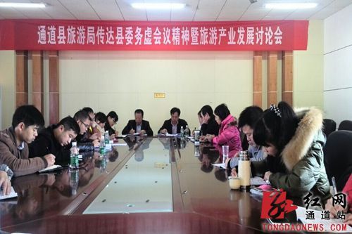 全面贯彻旅游务虚会精神 通道文化旅游核力跃