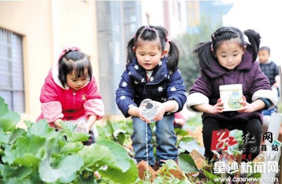 长沙县万婴格林幼儿园和望仙桥社区获评长沙市