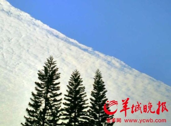 东莞凤岗现阴阳天奇景 天空被一分为二(图