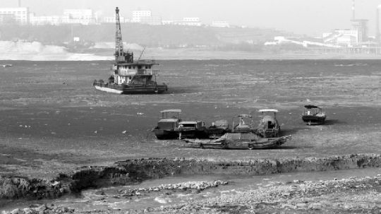 冬季鄱阳湖变身苍茫大草原