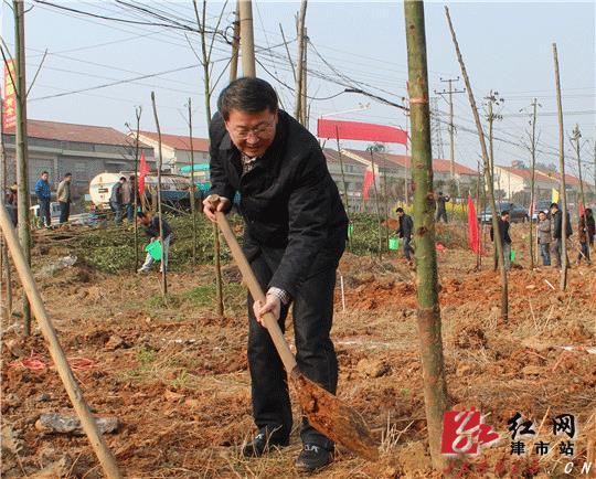 津市五大家领导带头植树倡导两城共创建