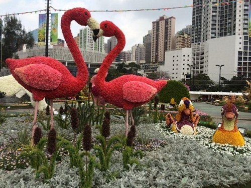 一年一度的香港花卉展览将于20日起至29日,在维多利亚公园举行.