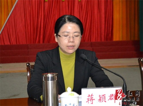 平安临澧建设暨深化教育实践活动整改落实工作