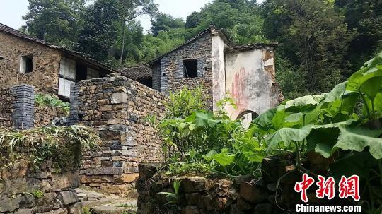 中国每天300个古村落消失 杭州启动旅游拯救复