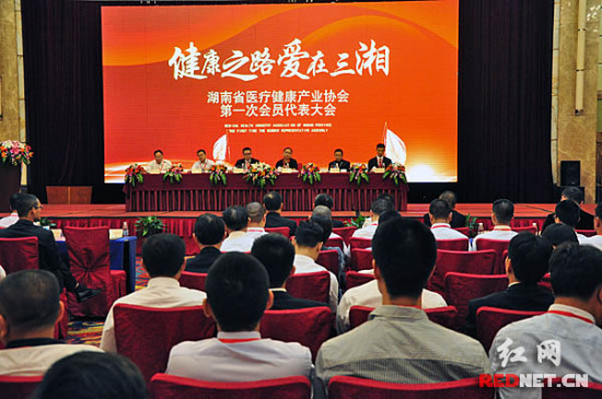 湖南省医疗健康产业协会成立 将引领行业新发