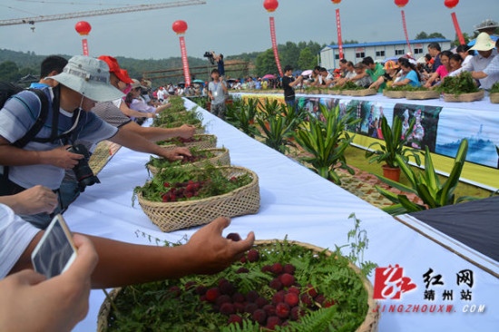 2015中国·靖州·杨梅节暨飞山文化旅游节开