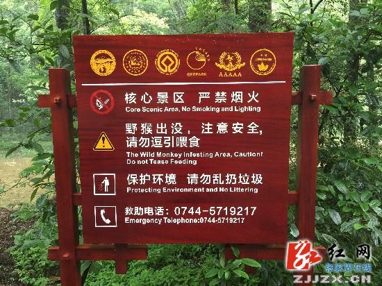 武陵源核心景区700余块新标牌为游客“导视”_新浪新闻