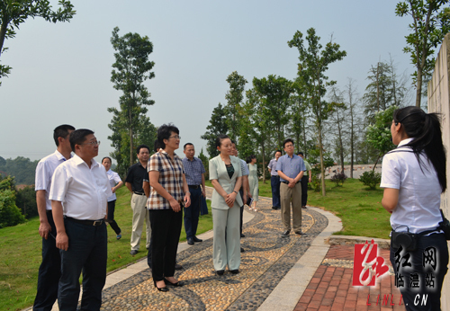 湖南省文化厅厅长李晖在常德市政府副市长陈华的陪同下来到临澧,调研