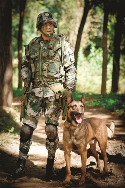 神犬奇兵汪星人抢镜南京台全城征集家有萌犬