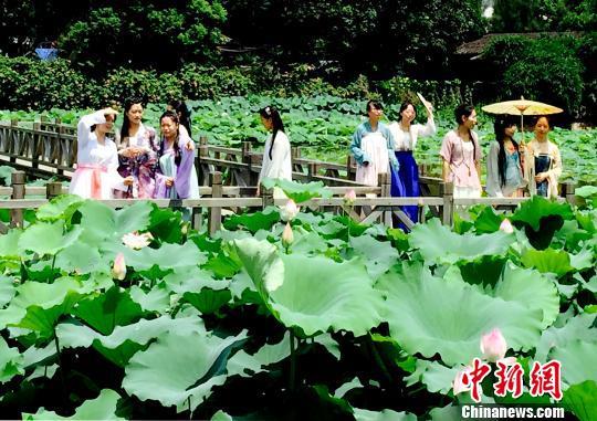 福州盛夏重现传统观莲节