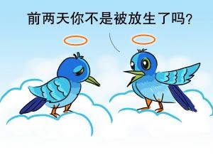 盲目放生等于杀生