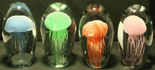 美国“惊奇水母”公司用自然死亡的水母尸体和树脂制作成能够在夜间发光的灯具。