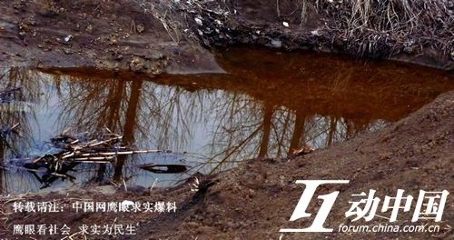 嘉泰化工污染农田遭殃