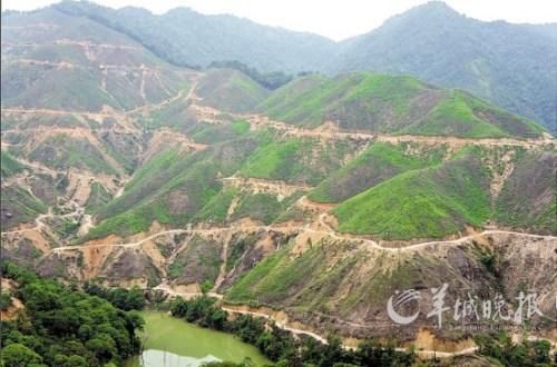 砍伐山林，开挖山路，山体遭到破坏