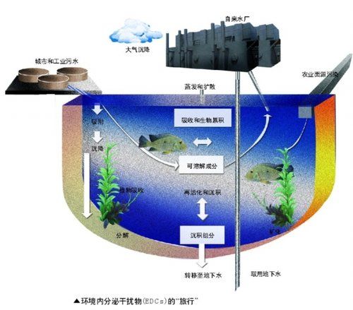 南都制图宋小伟