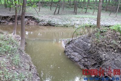 污水注入舞阳县与舞钢市交界处的三里河中。(中国经济网 陈逸鸣摄于7月12日)