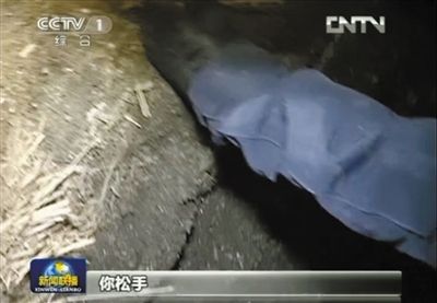 在混乱中，记者的摄像机被厂方人员强行摁到了地上。