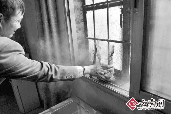 窗子都是两层还是落满灰