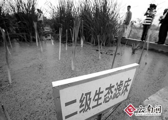 滇池治污新观察：治污呼唤全民时代(组图)