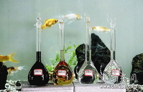 武汉陈家冲垃圾场渗滤液经处理可直排江河(图)