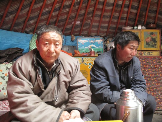 铁蹄马保护小组呼吁公众参与保护草原马(组图)