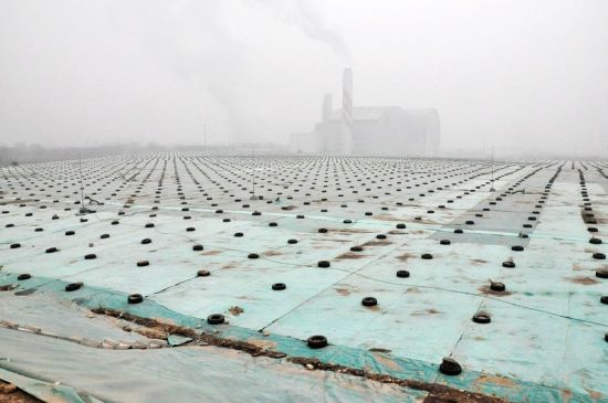 在盖好绿膜的填埋场并闻不到刺鼻的沼气味道。摄影 常昕
