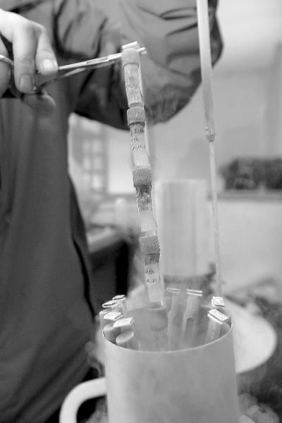 工作人员将动物组织样本放入液氮罐进行保存。