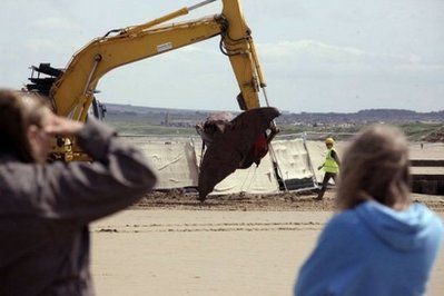 英国雷德卡(Redcar)镇居民看着重20吨的抹香鲸尸体被吊走