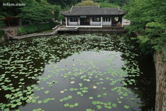 湖畔飘荡着绿萍。（焉光哲/CFP/图）