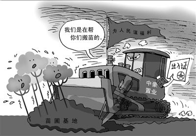 200亩苗木被损毁所占土地用于建设商贸城。漫画/邝野 