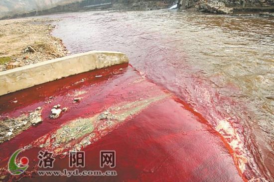 　红色污水进入涧河，并穿过市区流入洛河。 