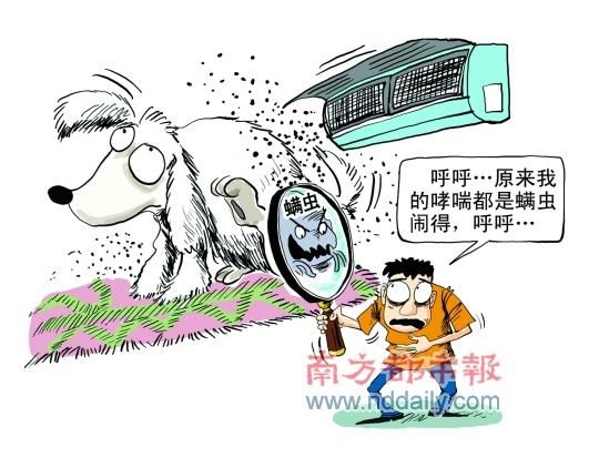 钟南山:过敏性鼻炎不治易得哮喘