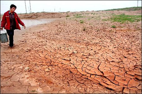 今年宁夏严重干旱 对农业生产影响较大_天气预