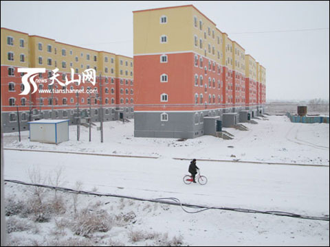 新疆新湖农场百万亩植被盖被度冬_天气预报