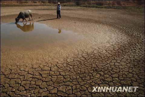 江西遇罕见寒潮 降温大降雨少难解赣鄱干渴_天气预报