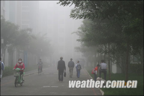 银川今晨出现大雾天气 最低能见度仅有80米