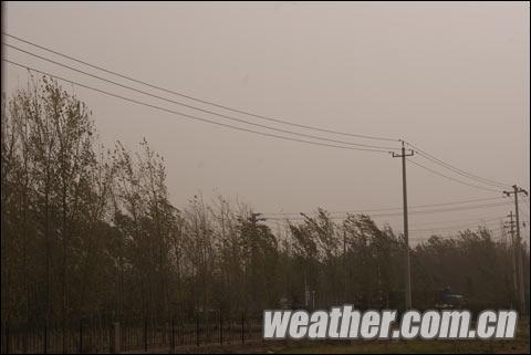 山东潍坊出现扬沙天气 自行车难以骑行_天气预报