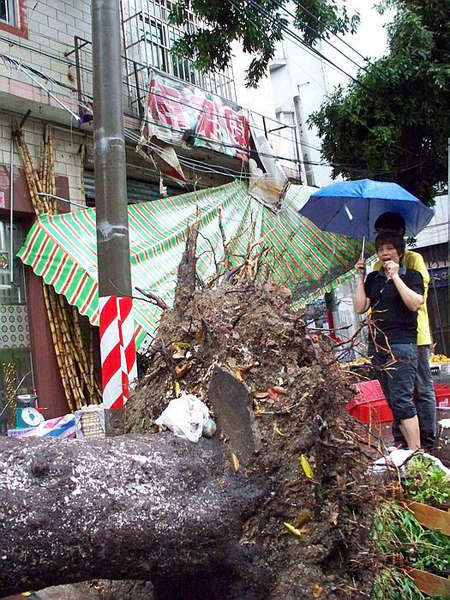 广东佛山发生雷雨大风冰雹灾害已致12死_天气预报