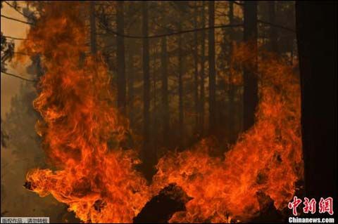 美国加州山火烧毁50栋住宅 三县进入紧急状态