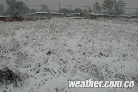 组图:辽宁锦州降今冬首场雪|辽宁降雪|雪_新浪