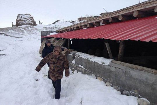 新疆伊犁雪灾致1人死亡损失3400万|伊利|雪灾