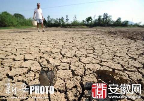 安徽多地旱情严重 全省受灾人口298万人
