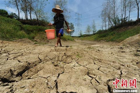 安徽15个市县高温超过40℃ 受旱面积超千万亩